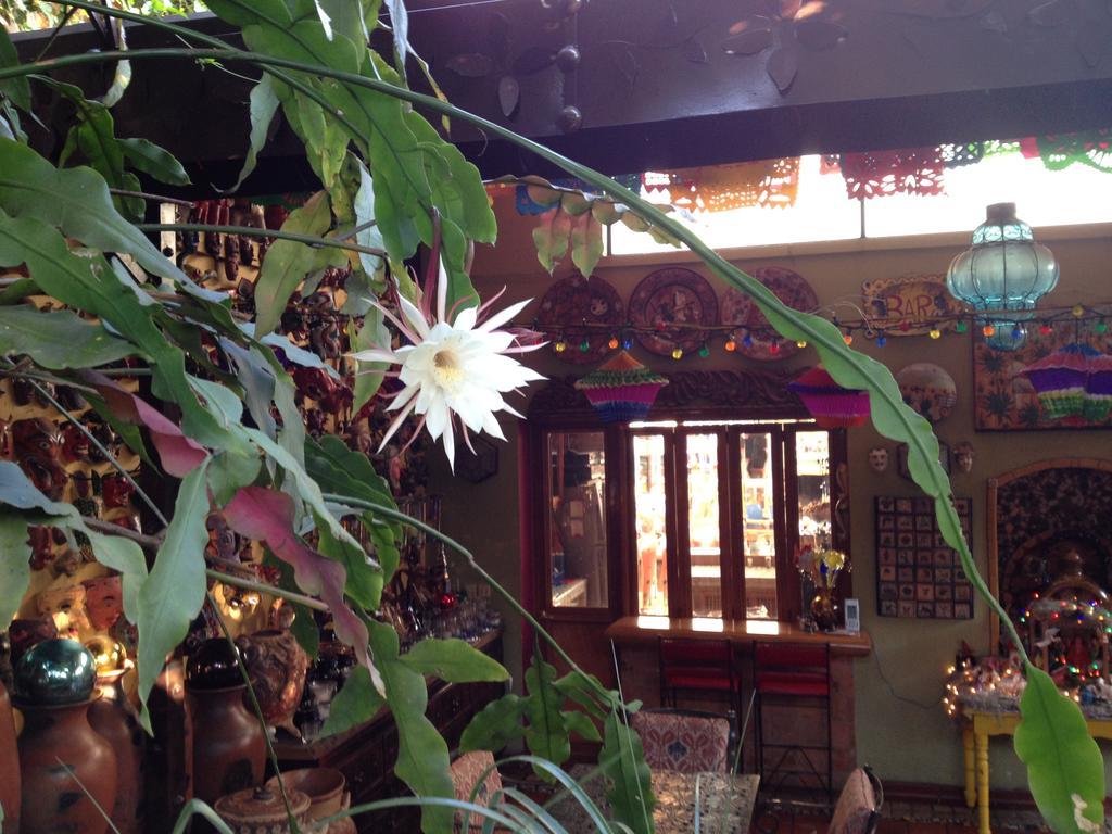 Casa De Las Flores Bed & Breakfast Tlaquepaque Exterior photo