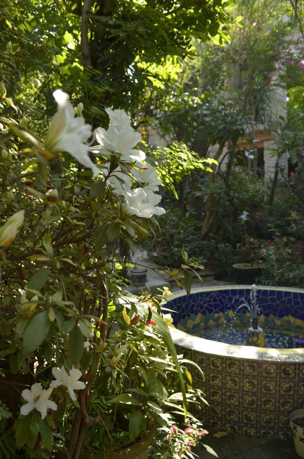 Casa De Las Flores Bed & Breakfast Tlaquepaque Exterior photo
